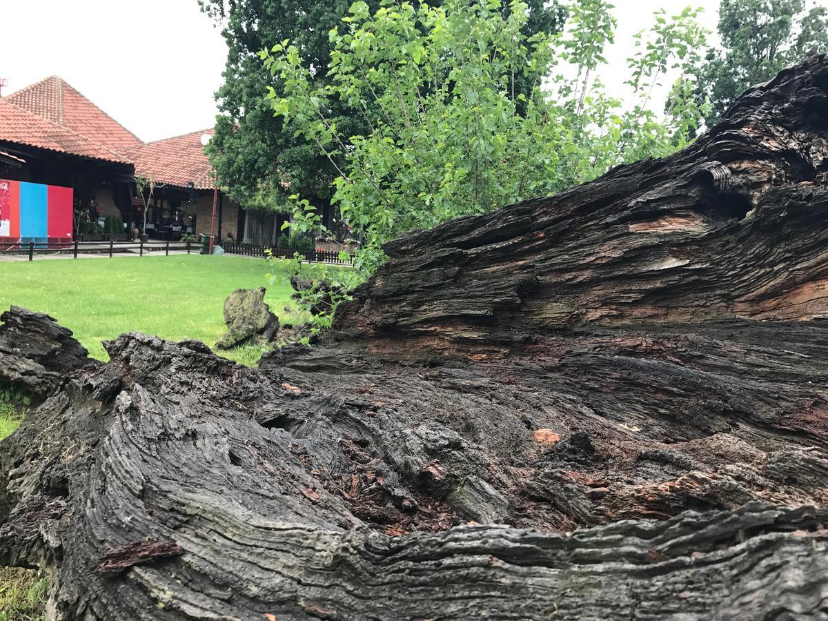 Motel Stari Hrast Markovac Exteriör bild